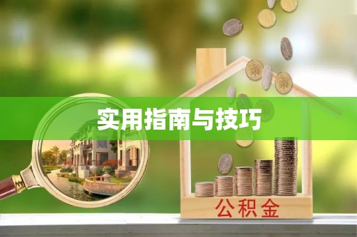 富宁实用指南与技巧