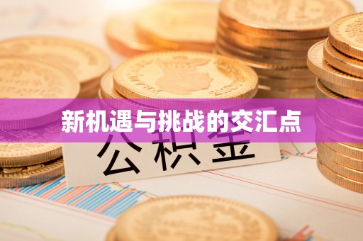 富宁新机遇与挑战的交汇点