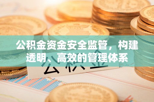 富宁公积金资金安全监管，构建透明、高效的管理体系