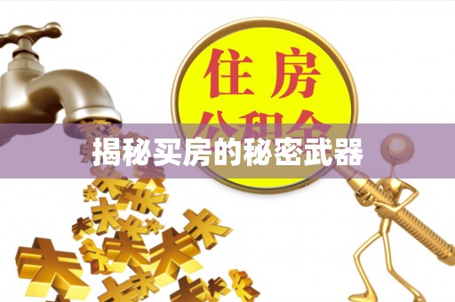 富宁揭秘买房的秘密武器