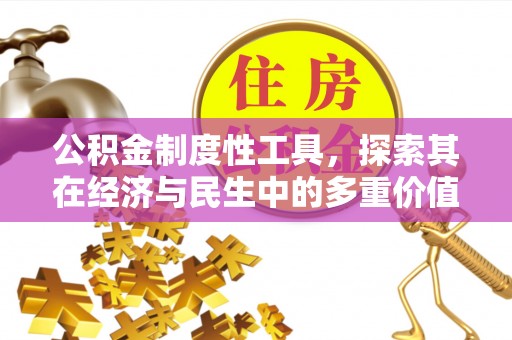 富宁公积金制度性工具，探索其在经济与民生中的多重价值