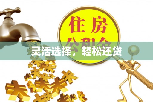 富宁灵活选择，轻松还贷