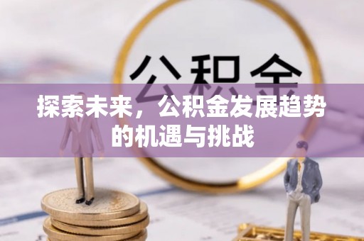 富宁探索未来，公积金发展趋势的机遇与挑战