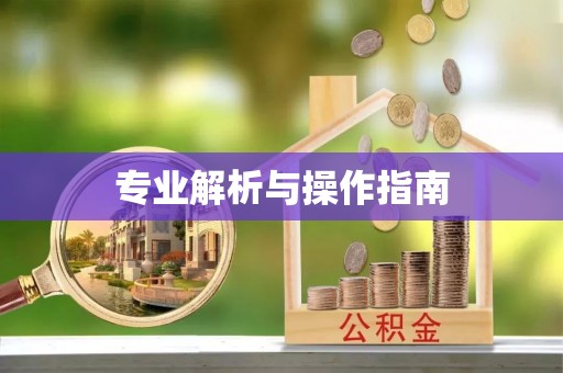 富宁专业解析与操作指南