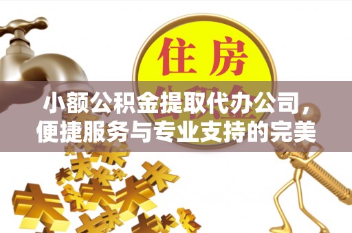 富宁小额公积金提取代办公司，便捷服务与专业支持的完美结合