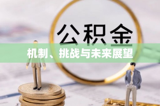 富宁机制、挑战与未来展望